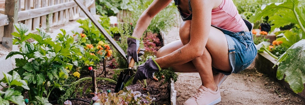 Person hockt bei der Gartenarbeit in einem Beet und benutzt eine Gartenkralle.